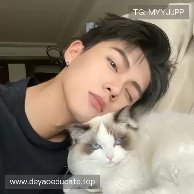 费朗标